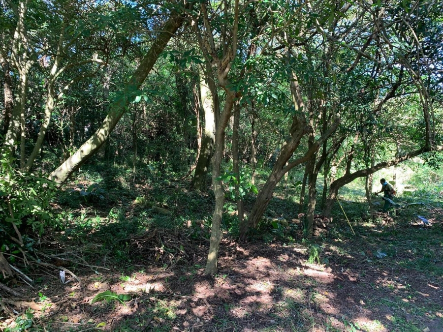 0 Bedroom Property for Sale in Selborne Golf Estate KwaZulu-Natal