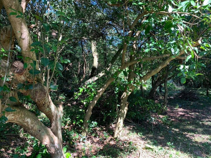 0 Bedroom Property for Sale in Selborne Golf Estate KwaZulu-Natal