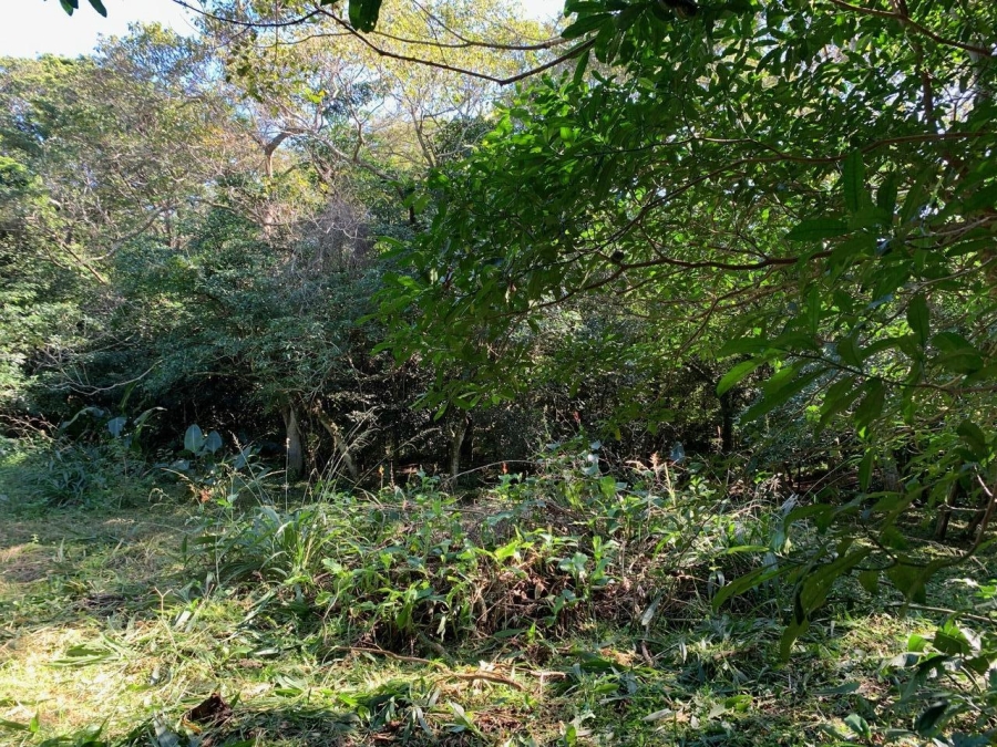 0 Bedroom Property for Sale in Selborne Golf Estate KwaZulu-Natal
