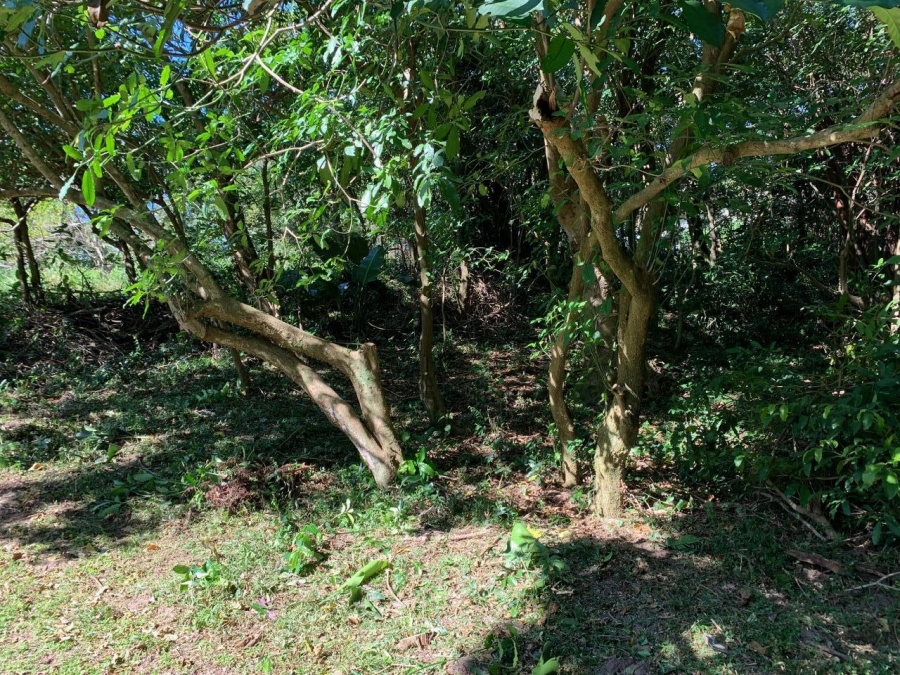 0 Bedroom Property for Sale in Selborne Golf Estate KwaZulu-Natal
