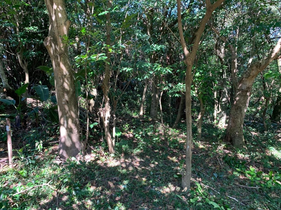 0 Bedroom Property for Sale in Selborne Golf Estate KwaZulu-Natal