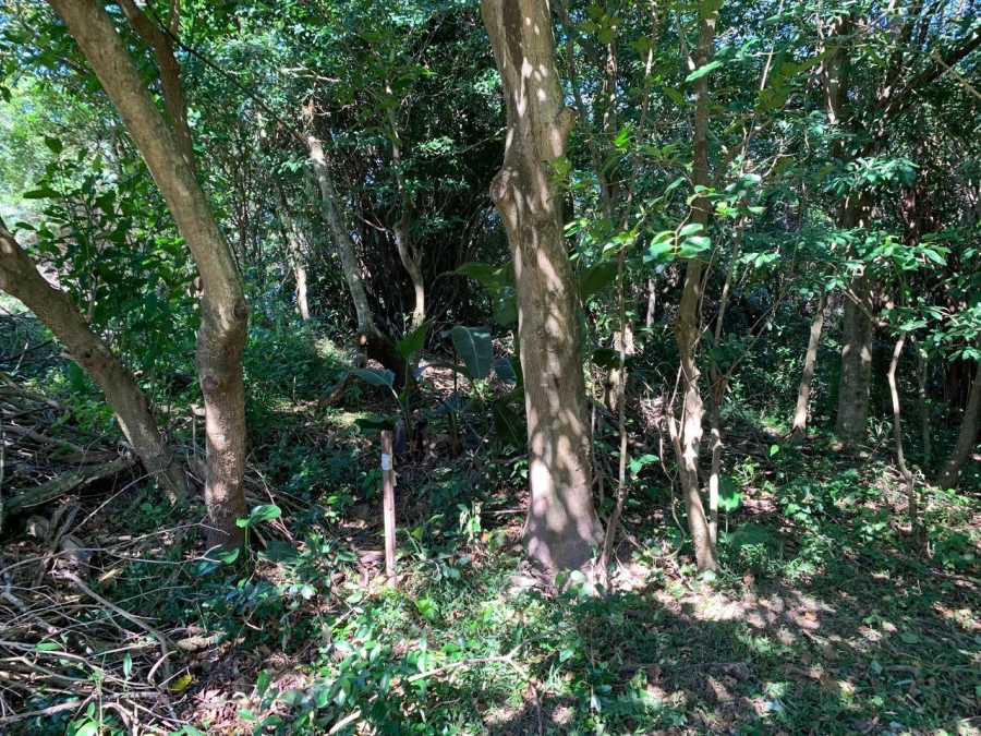 0 Bedroom Property for Sale in Selborne Golf Estate KwaZulu-Natal