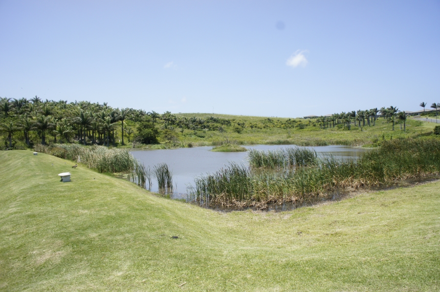 0 Bedroom Property for Sale in Palm Lakes Estate KwaZulu-Natal
