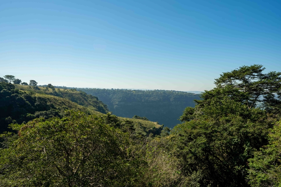 4 Bedroom Property for Sale in Forest Hills KwaZulu-Natal