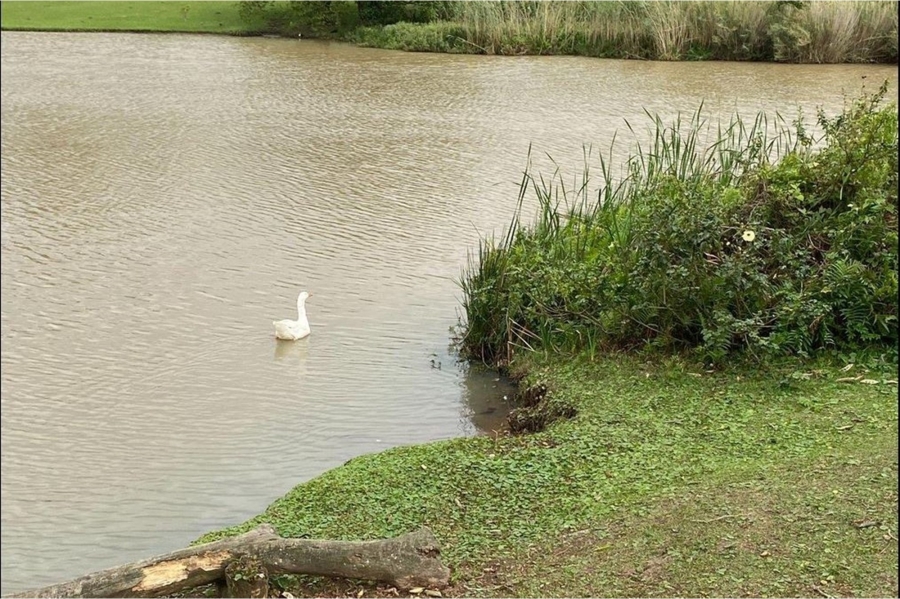 4 Bedroom Property for Sale in Mtwalume KwaZulu-Natal