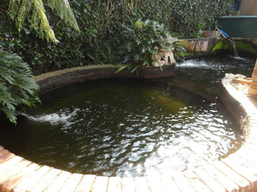 To Let 4 Bedroom Property for Rent in Hatton Estate KwaZulu-Natal