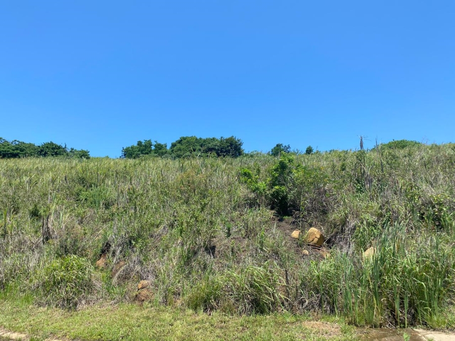 0 Bedroom Property for Sale in Palm Lakes Estate KwaZulu-Natal