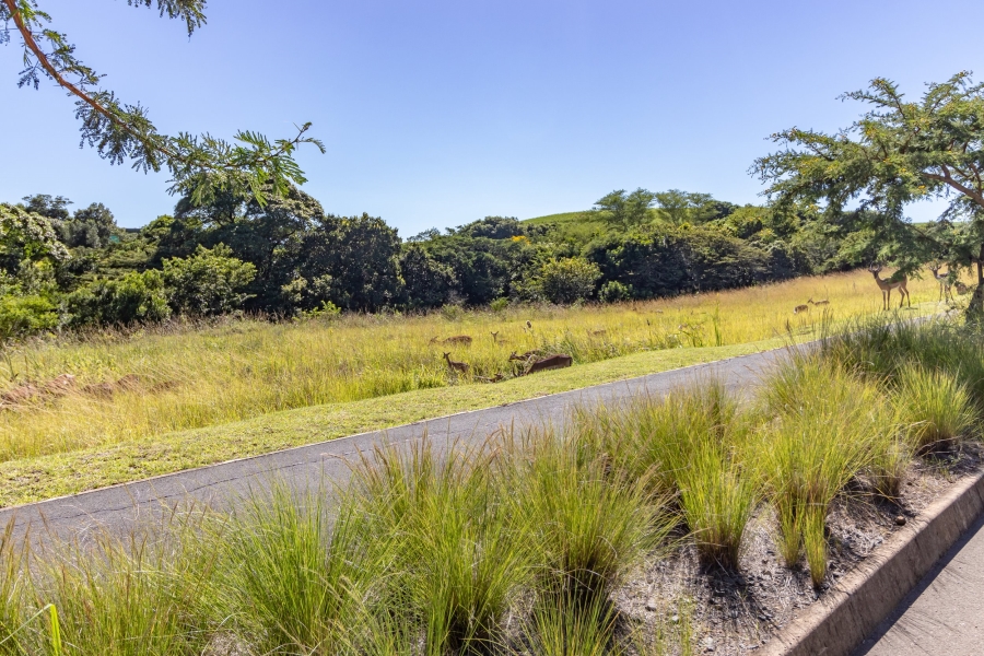 0 Bedroom Property for Sale in Palm Lakes Estate KwaZulu-Natal