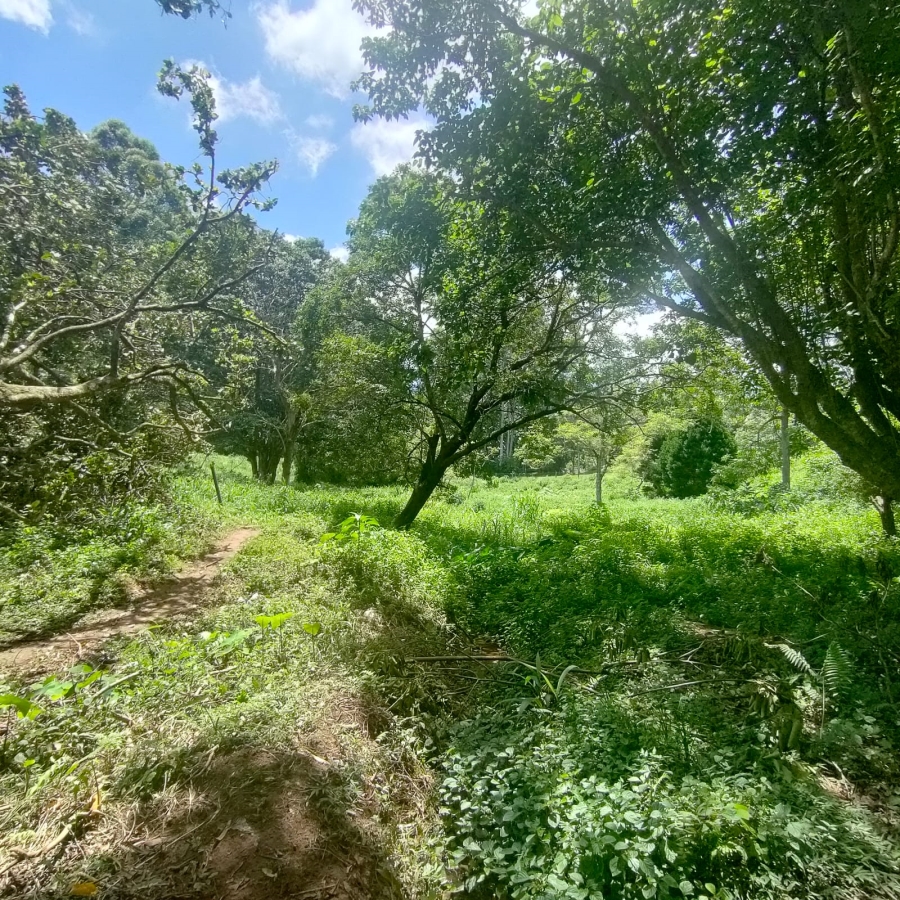 0 Bedroom Property for Sale in Clifton Park KwaZulu-Natal