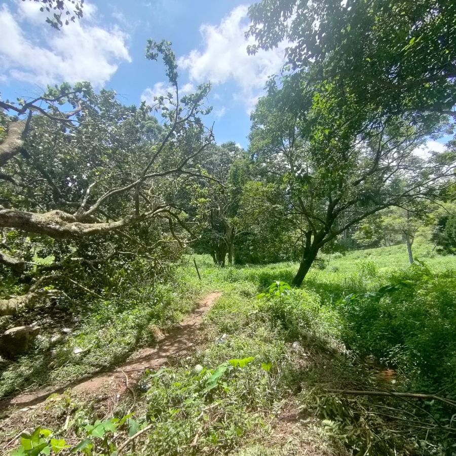 0 Bedroom Property for Sale in Clifton Park KwaZulu-Natal