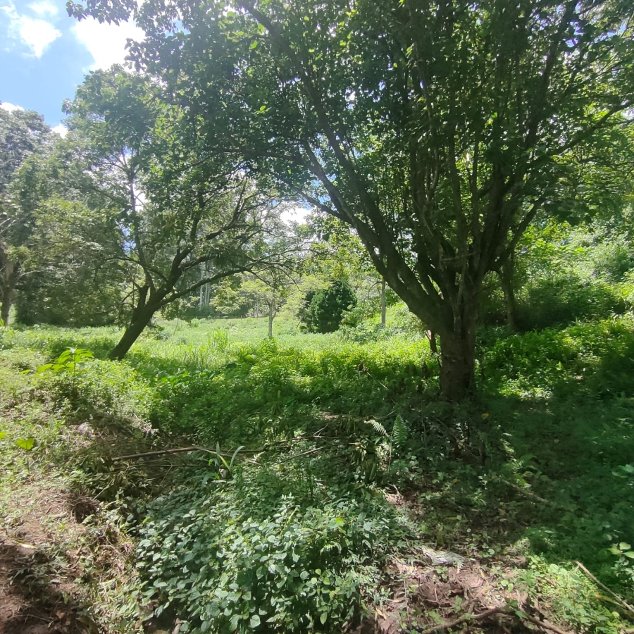 0 Bedroom Property for Sale in Clifton Park KwaZulu-Natal
