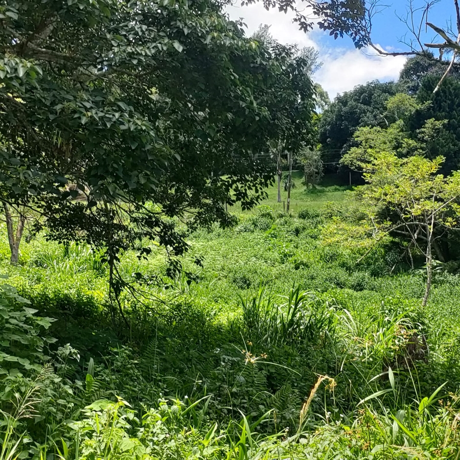 0 Bedroom Property for Sale in Clifton Park KwaZulu-Natal