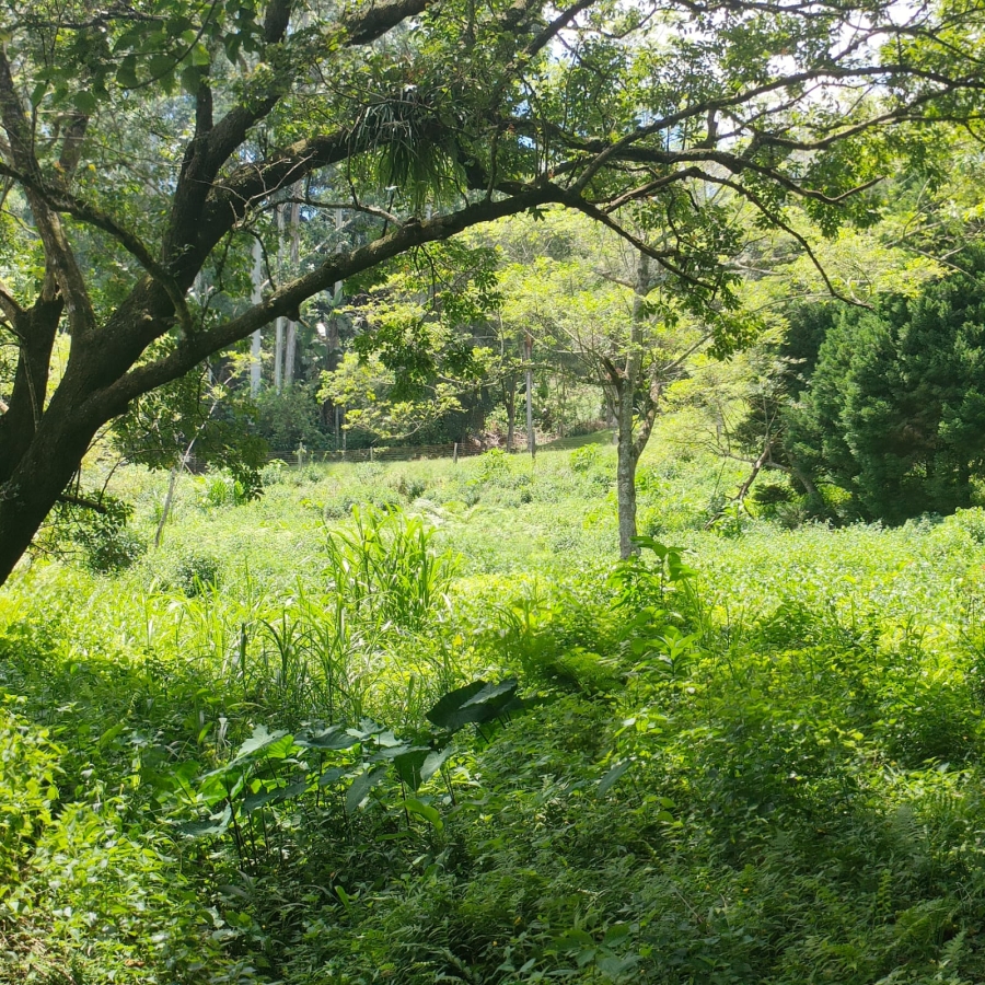 0 Bedroom Property for Sale in Clifton Park KwaZulu-Natal