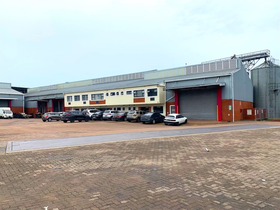 To Let commercial Property for Rent in Mount Edgecombe KwaZulu-Natal
