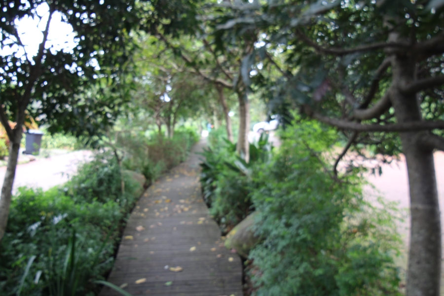 2 Bedroom Property for Sale in Elaleni Coastal Forest Estate KwaZulu-Natal