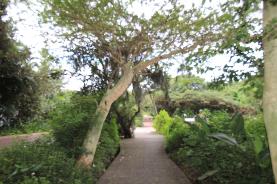 2 Bedroom Property for Sale in Elaleni Coastal Forest Estate KwaZulu-Natal