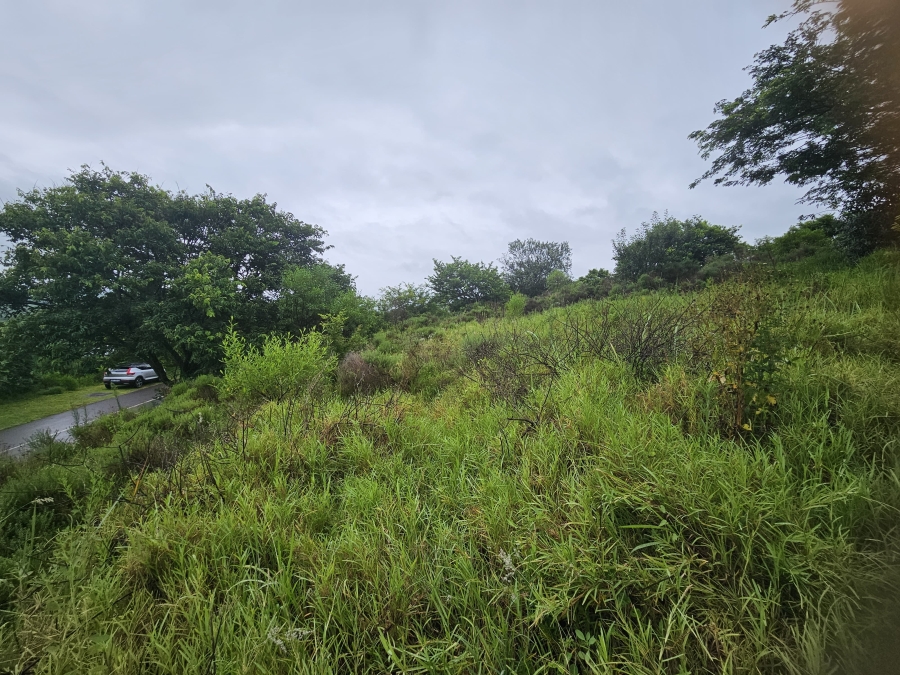 0 Bedroom Property for Sale in Zini River Estate KwaZulu-Natal