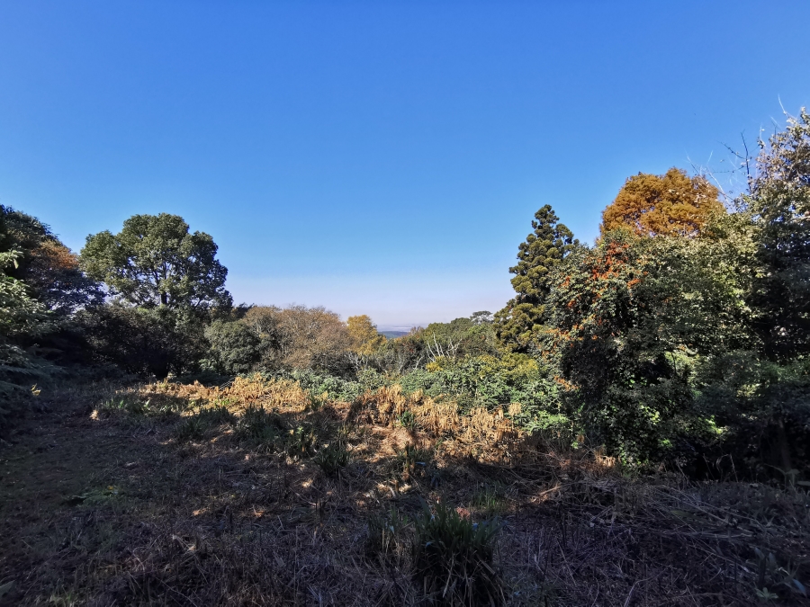 0 Bedroom Property for Sale in Worlds View KwaZulu-Natal