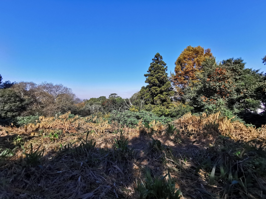 0 Bedroom Property for Sale in Worlds View KwaZulu-Natal