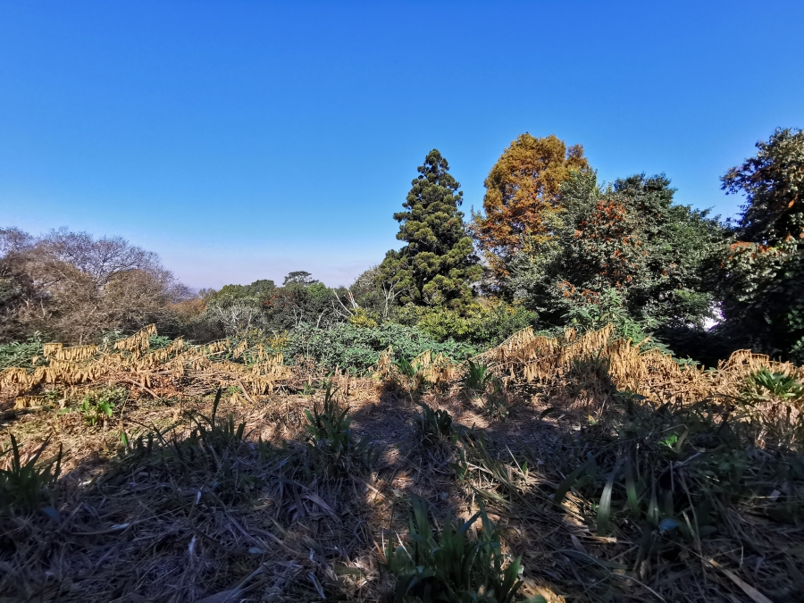 0 Bedroom Property for Sale in Worlds View KwaZulu-Natal