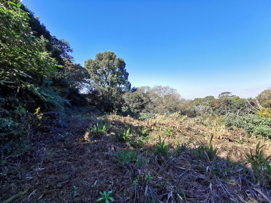 0 Bedroom Property for Sale in Worlds View KwaZulu-Natal