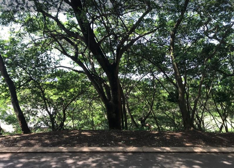 0 Bedroom Property for Sale in Simbithi Eco Estate KwaZulu-Natal