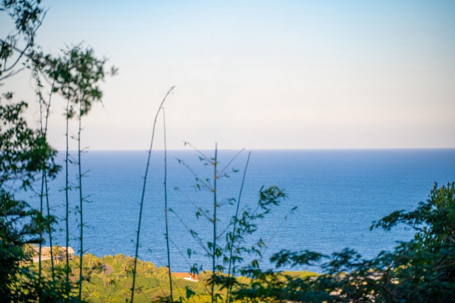 0 Bedroom Property for Sale in Elaleni Coastal Forest Estate KwaZulu-Natal