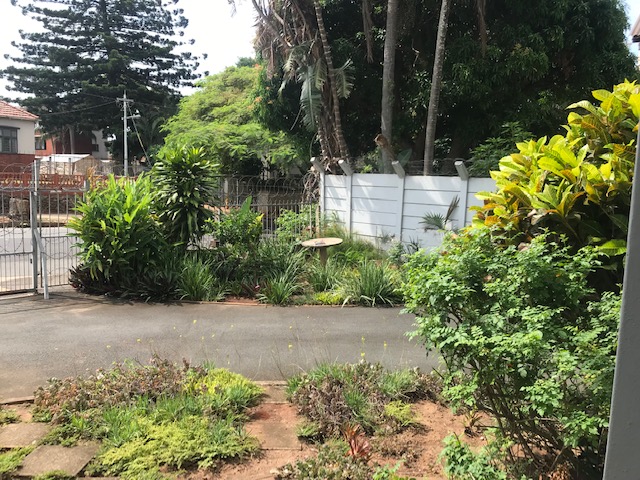 To Let 2 Bedroom Property for Rent in Bulwer KwaZulu-Natal