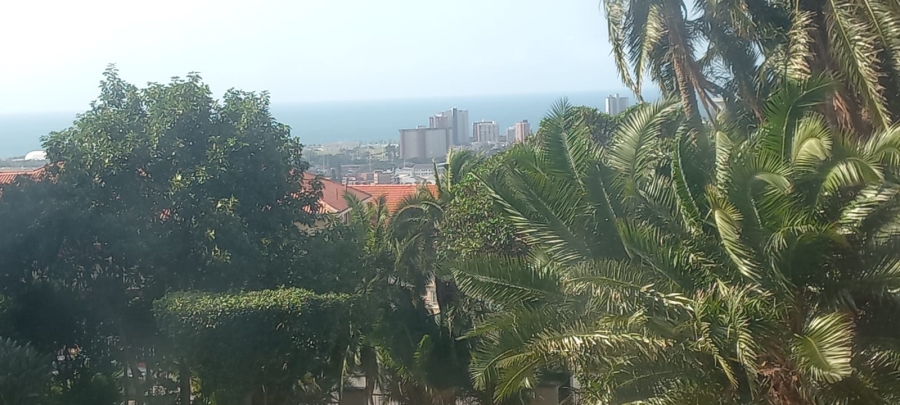 To Let 3 Bedroom Property for Rent in Musgrave KwaZulu-Natal