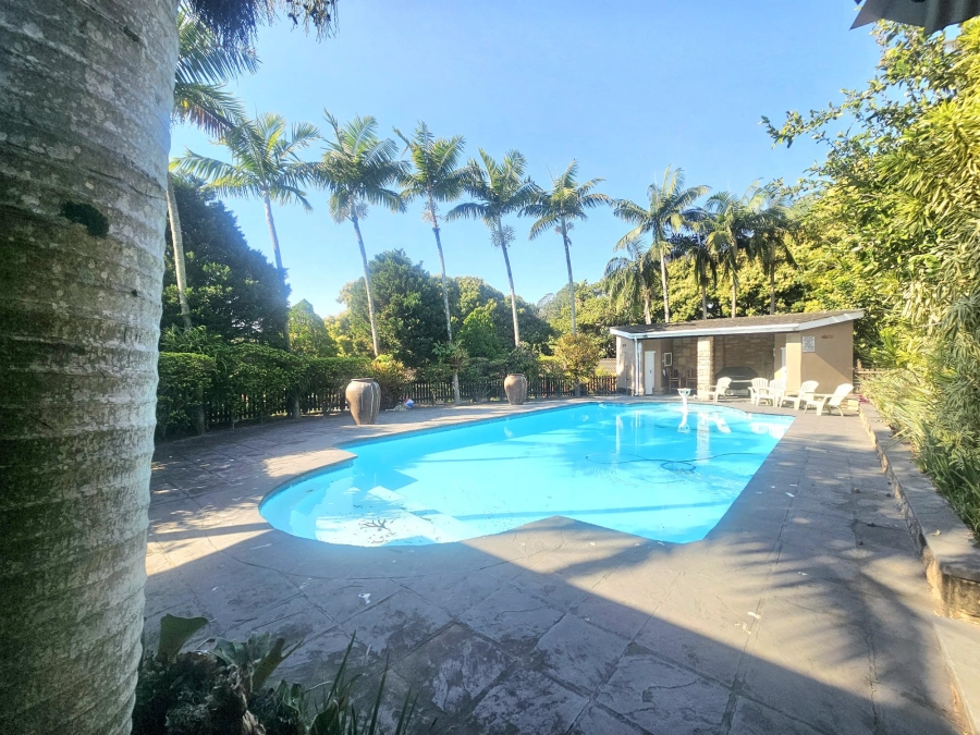 To Let 4 Bedroom Property for Rent in Yellowwood Park KwaZulu-Natal