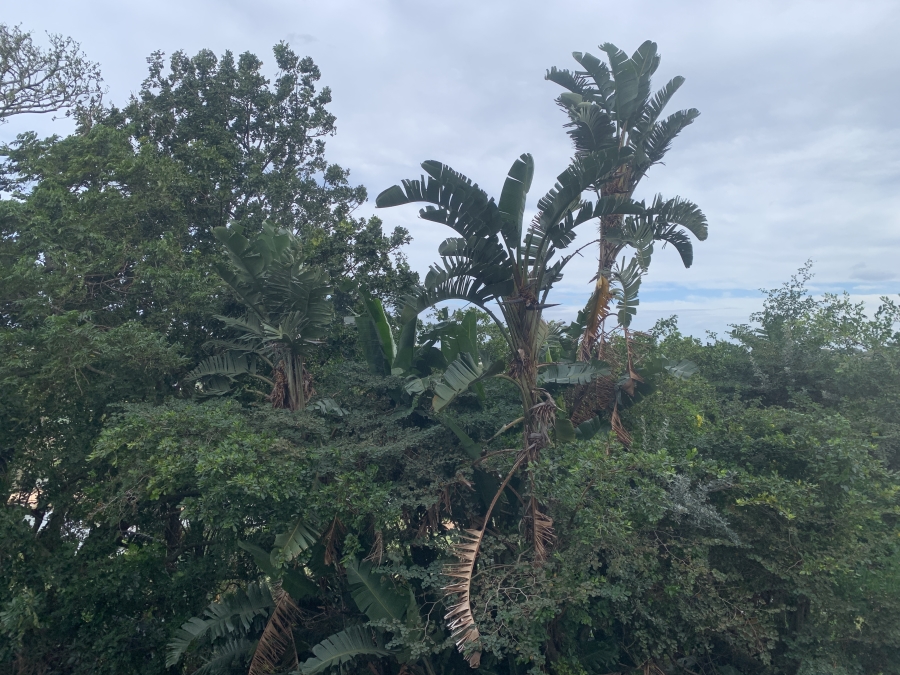 To Let commercial Property for Rent in Mount Edgecombe KwaZulu-Natal