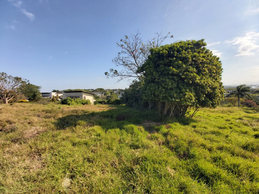 0 Bedroom Property for Sale in Palm Lakes Estate KwaZulu-Natal