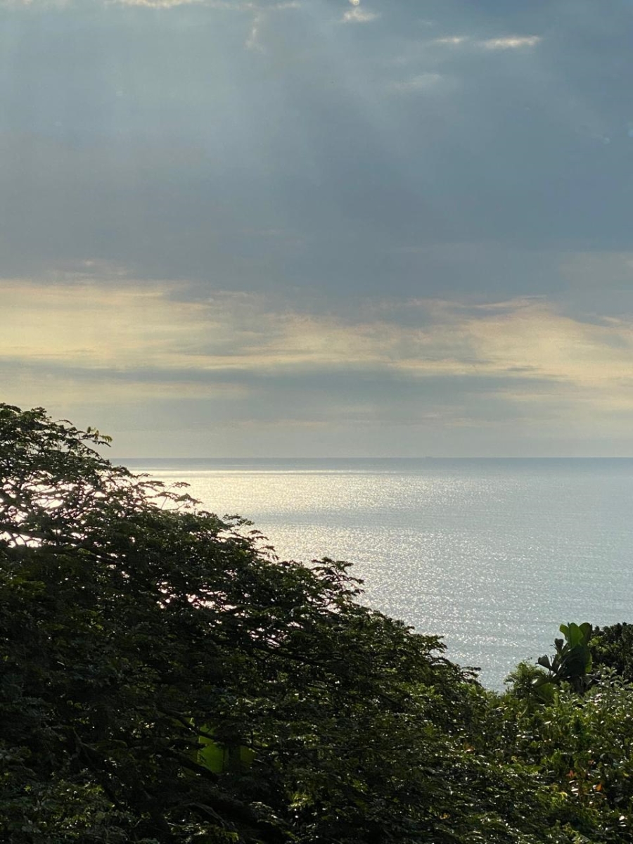 4 Bedroom Property for Sale in Zimbali Coastal Resort Estate KwaZulu-Natal