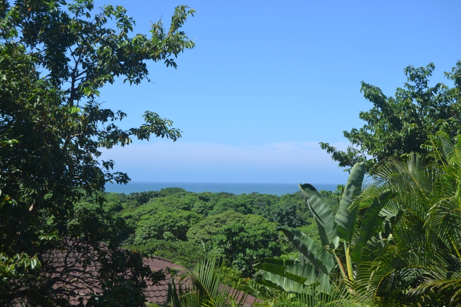 3 Bedroom Property for Sale in Pennington KwaZulu-Natal