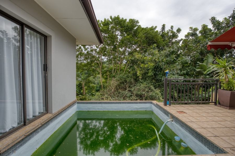 To Let 5 Bedroom Property for Rent in Zimbali Coastal Resort Estate KwaZulu-Natal