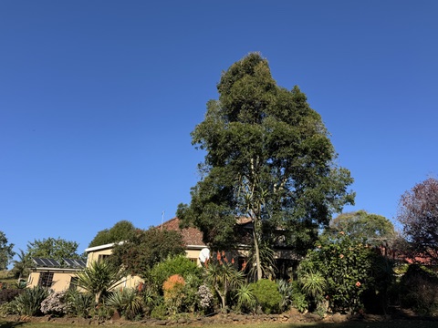5 Bedroom Property for Sale in Richmond Rural KwaZulu-Natal