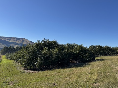 5 Bedroom Property for Sale in Richmond Rural KwaZulu-Natal