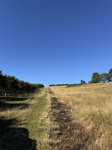 5 Bedroom Property for Sale in Richmond Rural KwaZulu-Natal
