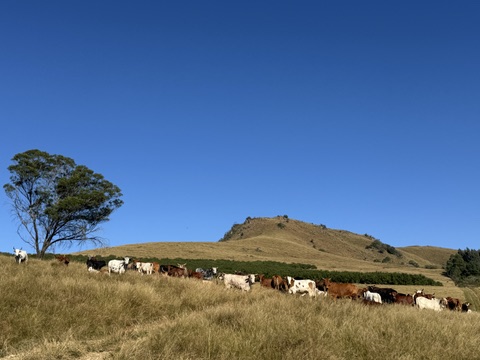 5 Bedroom Property for Sale in Richmond Rural KwaZulu-Natal