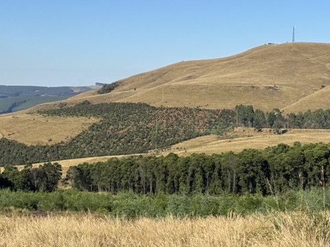 5 Bedroom Property for Sale in Richmond Rural KwaZulu-Natal