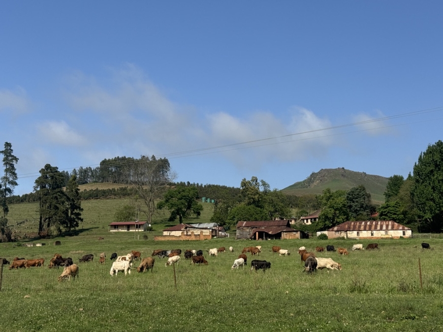 3 Bedroom Property for Sale in Richmond Rural KwaZulu-Natal