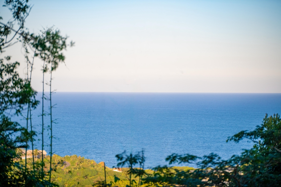 0 Bedroom Property for Sale in Elaleni Coastal Forest Estate KwaZulu-Natal