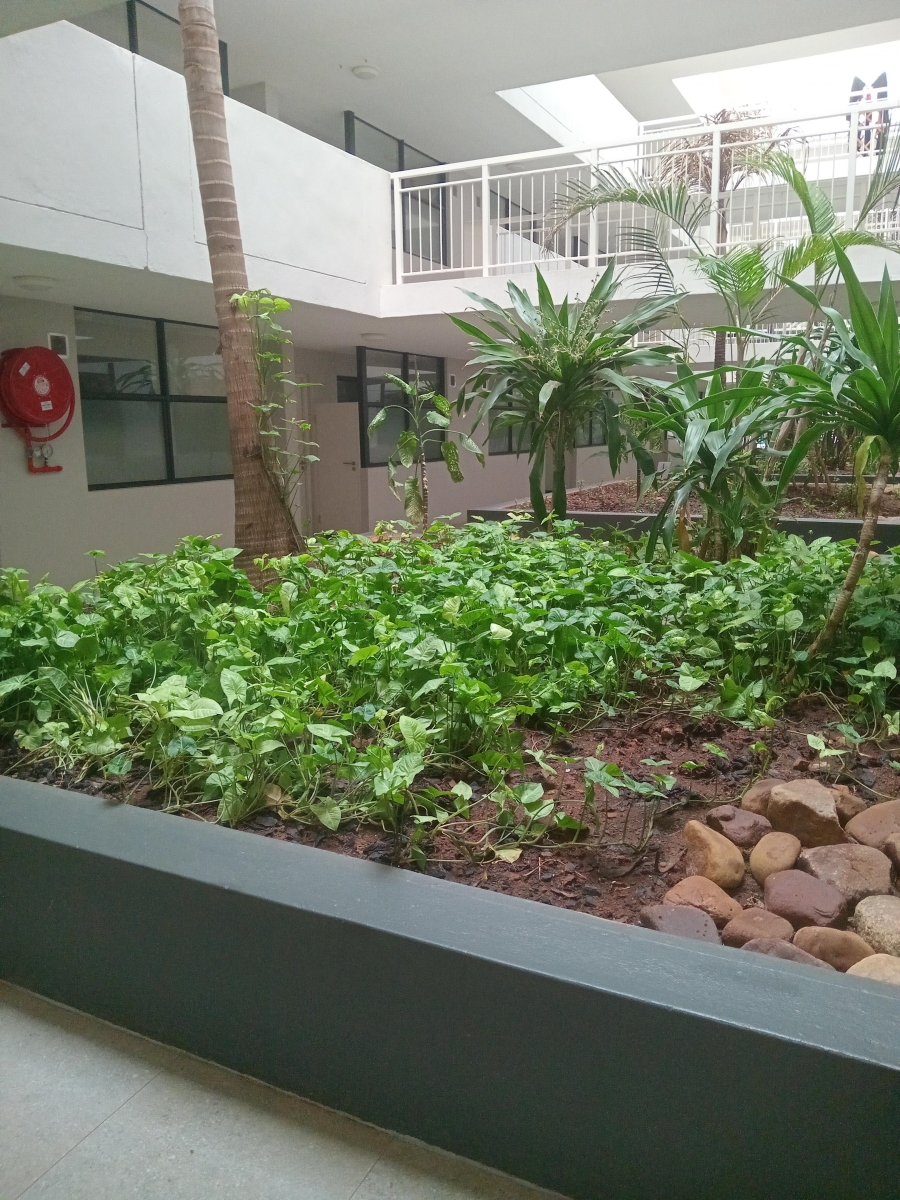 To Let 1 Bedroom Property for Rent in New Town Centre KwaZulu-Natal