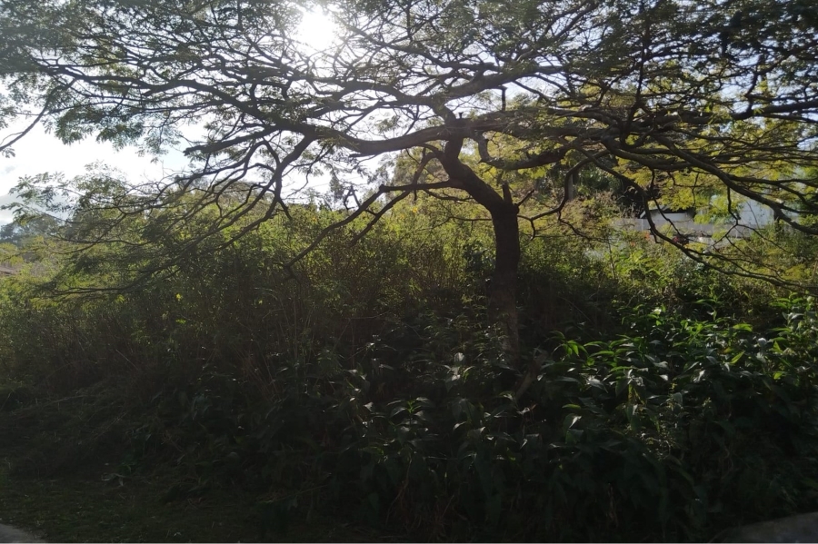 0 Bedroom Property for Sale in Silverglen KwaZulu-Natal