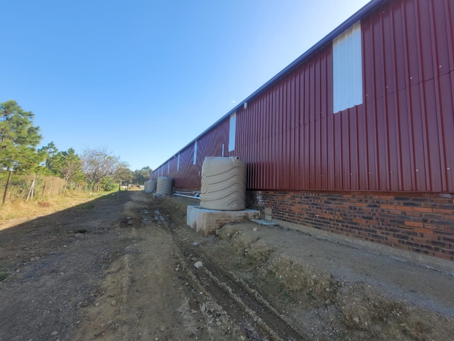 To Let commercial Property for Rent in Marburg KwaZulu-Natal