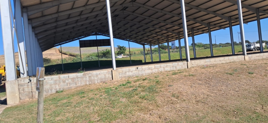 Commercial Property for Sale in Hillview KwaZulu-Natal