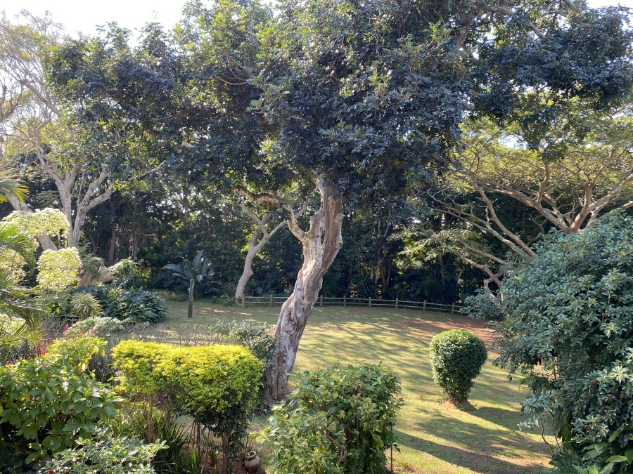 To Let 2 Bedroom Property for Rent in Ballito Central KwaZulu-Natal