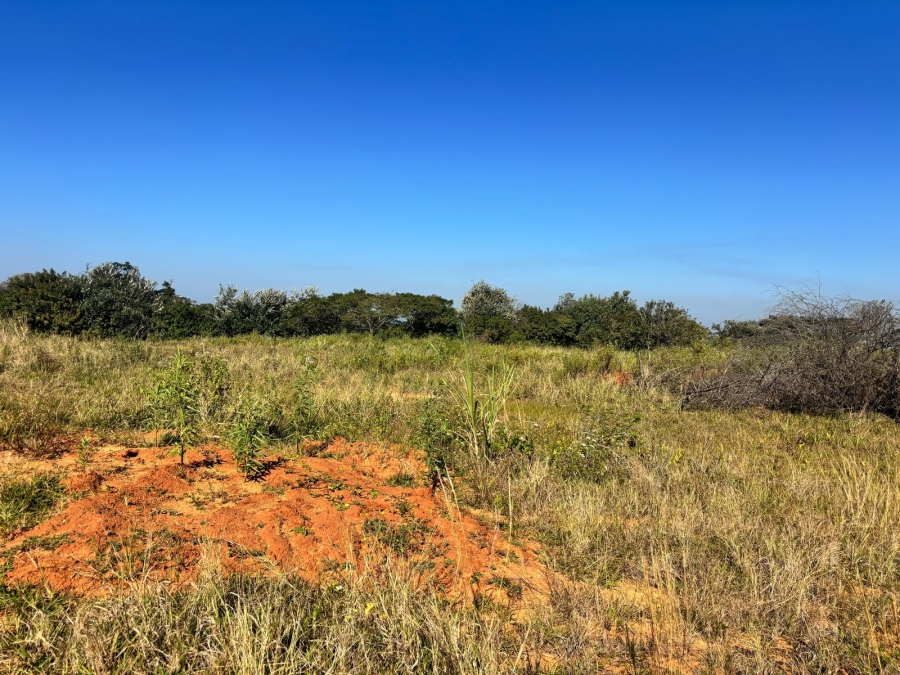 0 Bedroom Property for Sale in New Salt Rock City KwaZulu-Natal