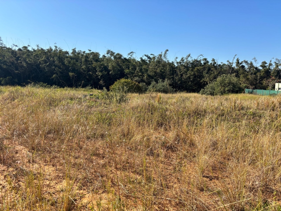 0 Bedroom Property for Sale in New Salt Rock City KwaZulu-Natal