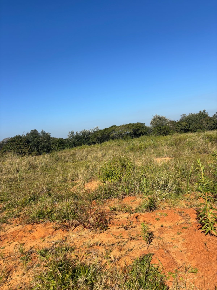 0 Bedroom Property for Sale in New Salt Rock City KwaZulu-Natal